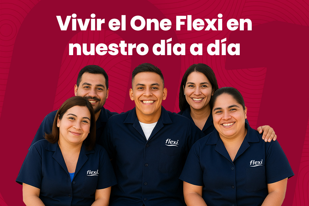 vivir-one-flexi-web